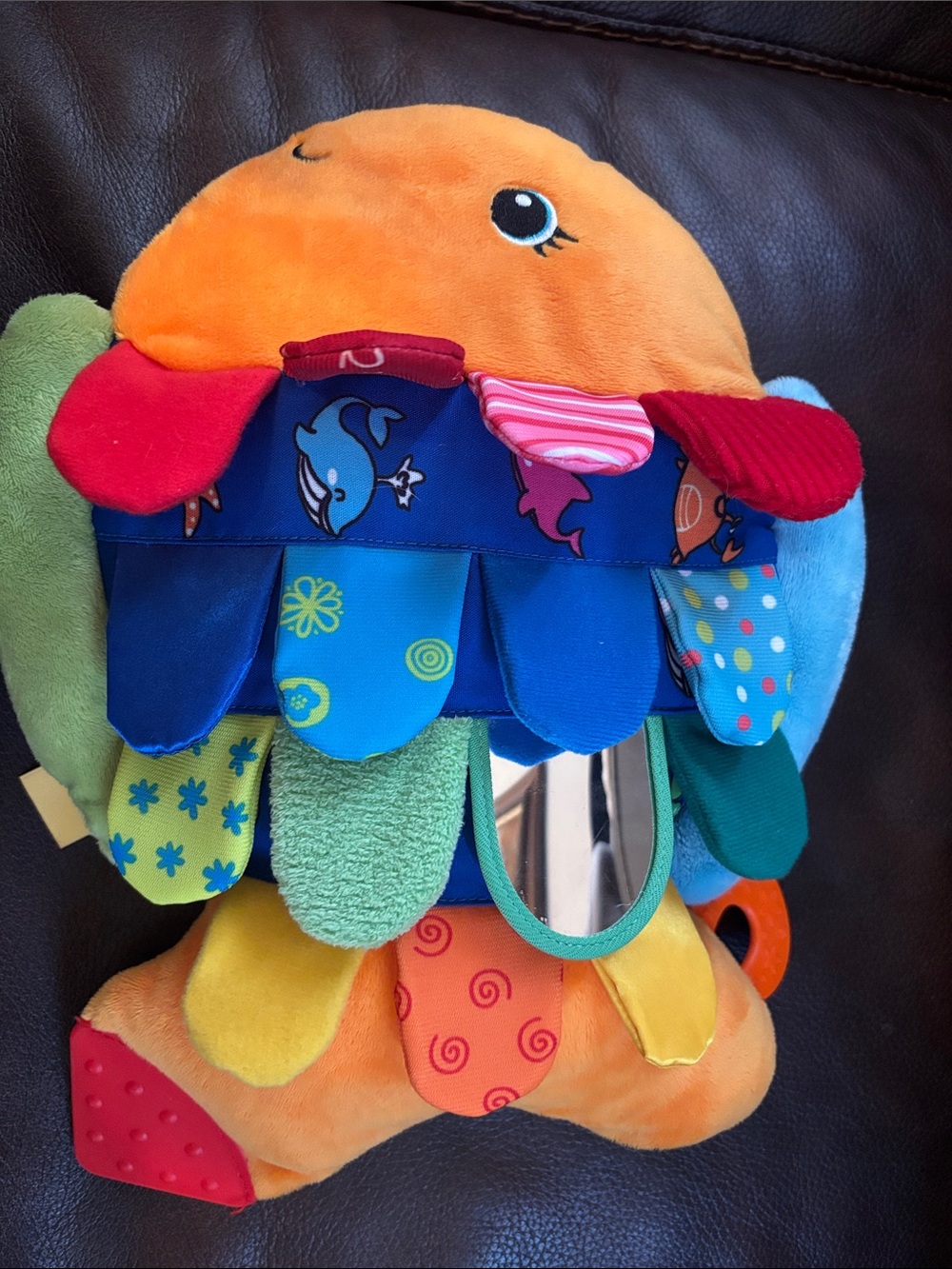 Plush Fish Sensory Baby Toy - Multicolor